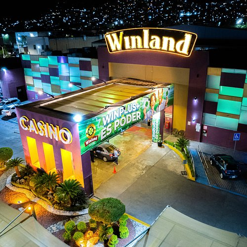 Cómo Funcionan los Casinos en México: Todo lo que Debes Saber